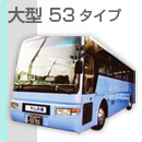 53type